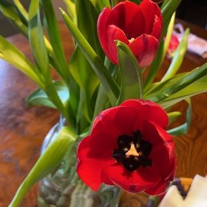 Meet your Posher, Maria